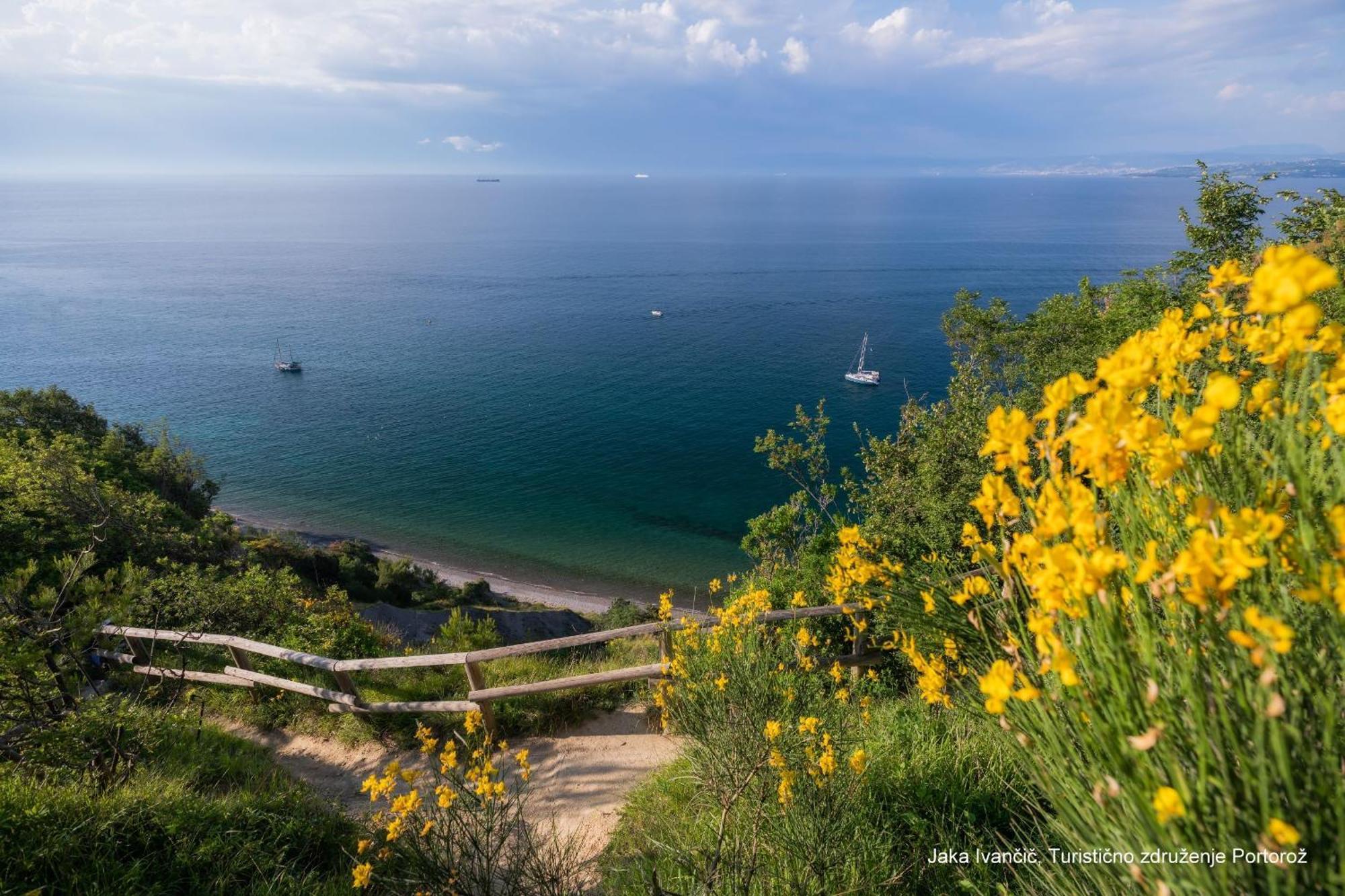 Apartments Souranded By Forest With Sea View 科佩尔 外观 照片